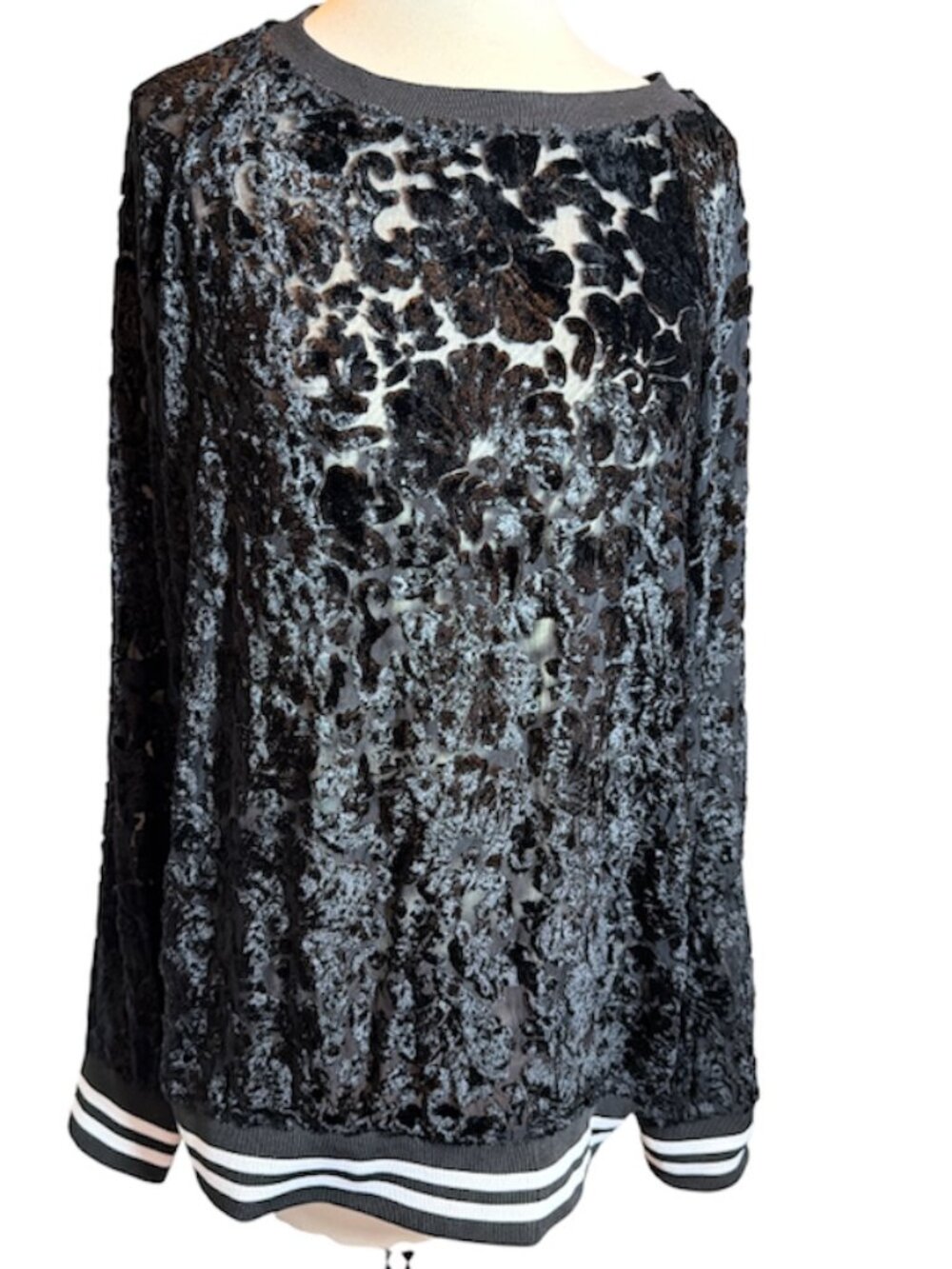 Fifteen Twenty Black Velvet Burnout Floral Sweatshirt w Stripes